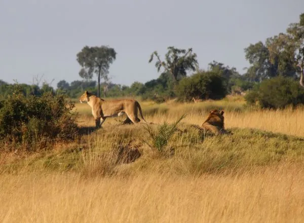 Luxury travel Africa