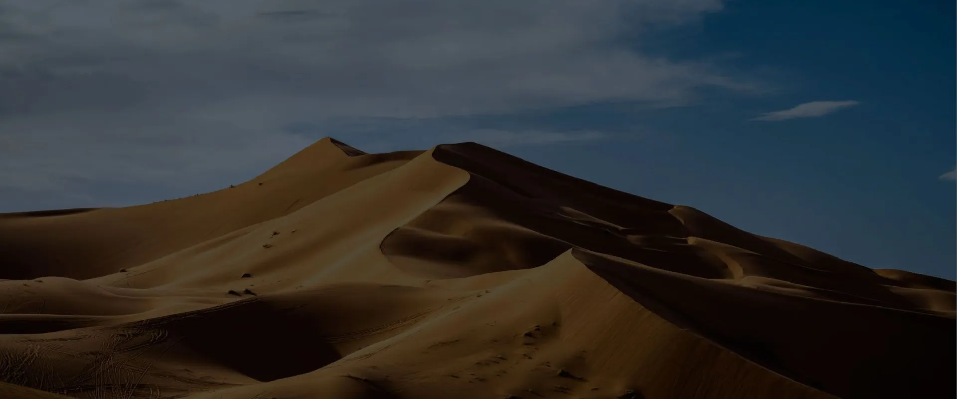 Traveler testimonials Vilu Travel Designers