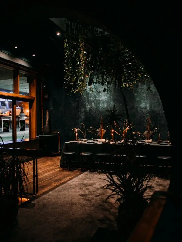 MICE & Corporate - Luxury travel Vilu